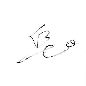 侠客行（翻自 排骨教主）