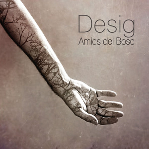 Com et puc tornar totes les cançons que et devia?