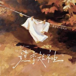过季短袖