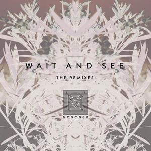 Wait And See (Deep Chills Remix)