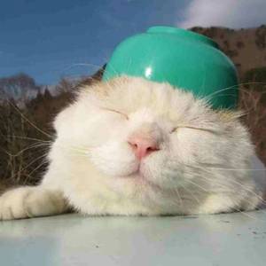 为你存在wav（翻自 July）