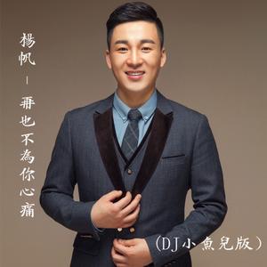 再也不为你心痛 (DJ小鱼儿版)