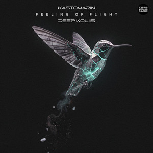 Feeling of Flight