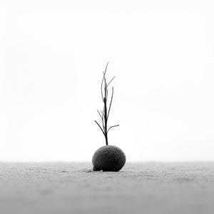 悲伤的歌
