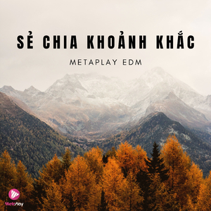 Sẻ Chia Khoảnh Khắc (Metaplay EDM)