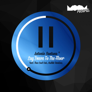 Lay Down To The Floor (Thee Cool Cats Remix)