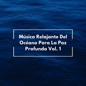 Agradable Oleaje Del Mar Para Meditar