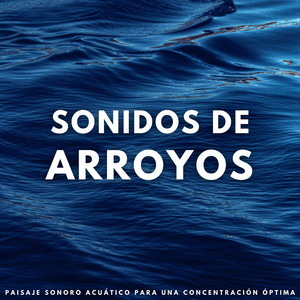 Rapsodia De Fluidez Y Concentración