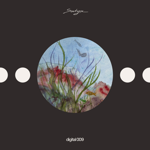 Unknown Notes (Lauren Ritter Remix)