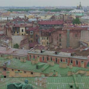 Зелёные крыши Петербурга