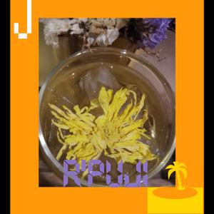 J（ Original Mix）