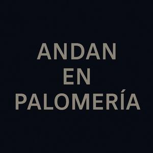 Andan En Palomeria