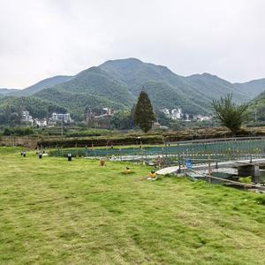 你的名字是生命的答案