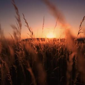 Μια Σιωπηλή Αγκαλιά