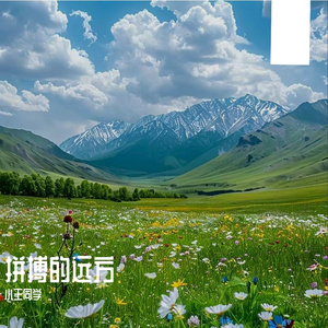 追光的足迹