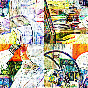 Elephantidae