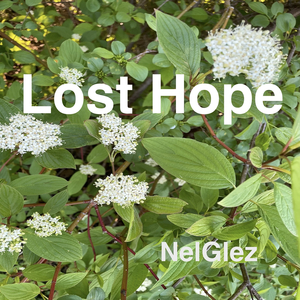 Lost Hope