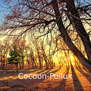 Cocoon(茧)