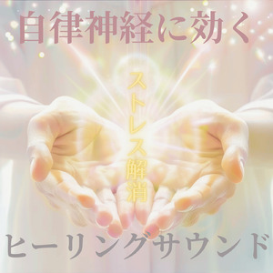 森の星空と静かな夜風