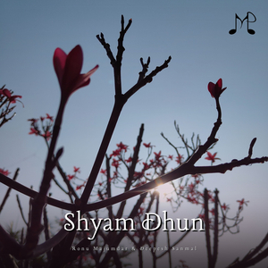 Shyam Dhun