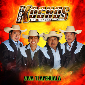 Siempre Pensaras En Mi