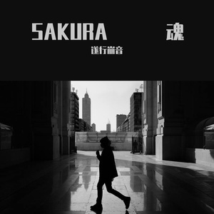 SAKURA Days（翻自 魂音泉）
