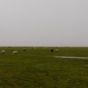 Slow Breathing Piano