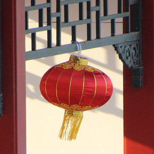 Chinese New Year Festival