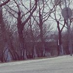 阿莹的萤火虫 (7)