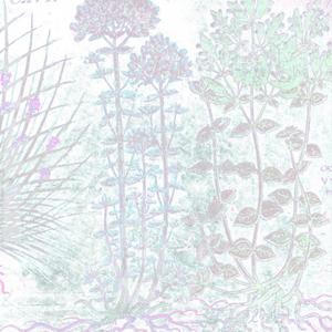 Dreaming of You (feat. Slowheal) (Polezsky & Kang Brulèe Remix)