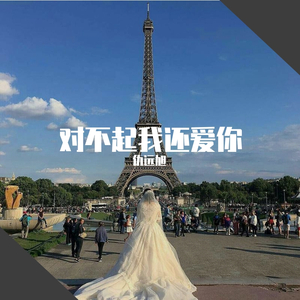 对不起我还爱你(Au男声版)（翻自 回音哥）