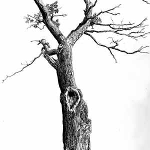 Lebanon (feat. Sam Childs)