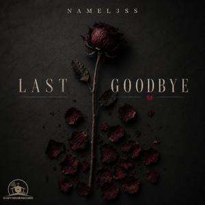 Last Goodbye