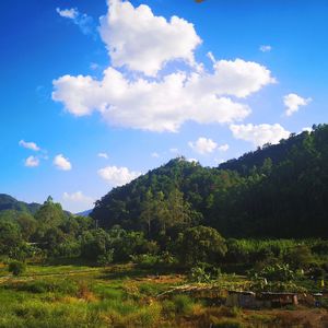 向着光生长（Prod.by YvngRick）