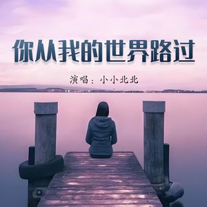 你从我的世界路过