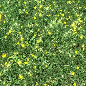 Date Night With Hayato/I Been That Boy