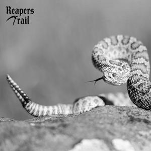Rattlesnake
