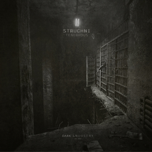 The Law of Vibration