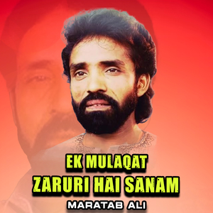 Ek Mulaqat Zaruri Hai Sanam (1)
