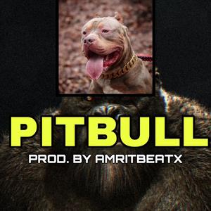 HARD TRAP (PITBULL)