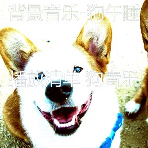 简单化(狗午睡)