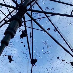 Y(prod by Youngvon)