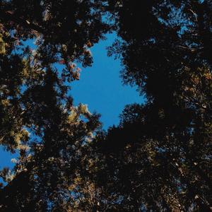 Hög Sky