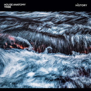 Tribe (Original Mix)