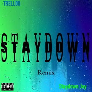 Staydown
