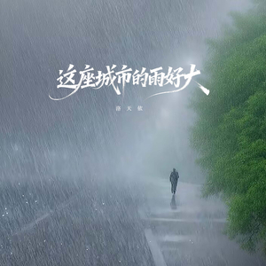 这座城市的雨好大