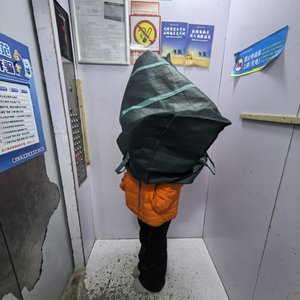 《情歌探险》