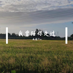 我曾陪你走过