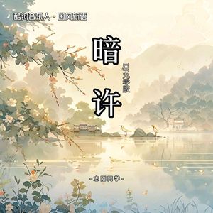 暗许（DJ九零版）