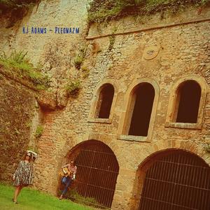 Pleonazm (feat. Amado)